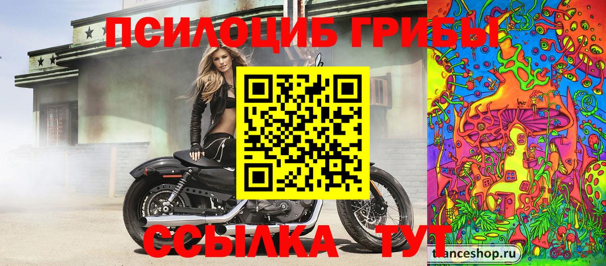 Галлюциногенные грибы Cubensis  Вход с VPN  Хабаровск 