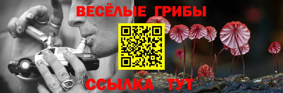 Псилоцибиновые грибы Psilocybe Хабаровск